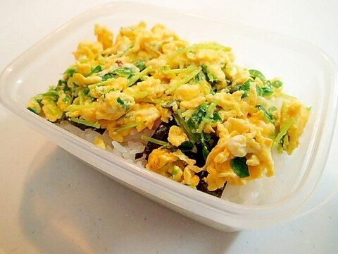 お弁当　海苔と豆苗卵炒め丼
